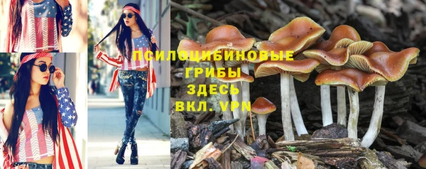 герыч Михайлов